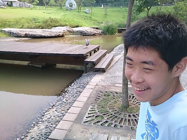 夜鷺捕魚 夜鷺捕魚
