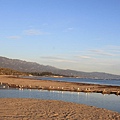 tn_IMG_5965.JPG