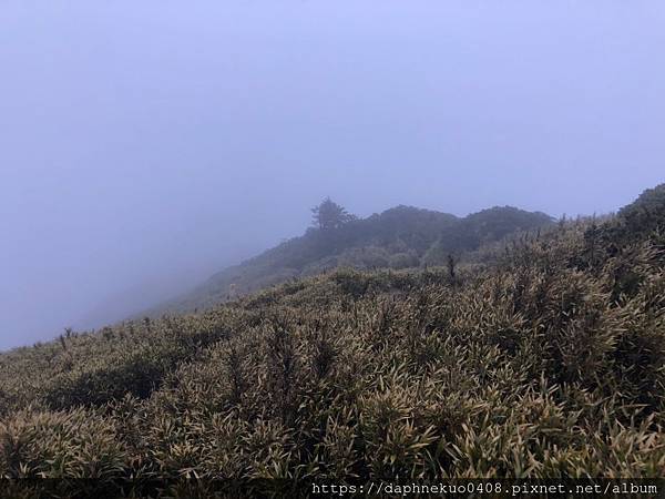 合歡、梨山、福壽山_190524_0306