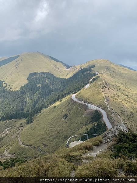 合歡、梨山、福壽山_190524_0462