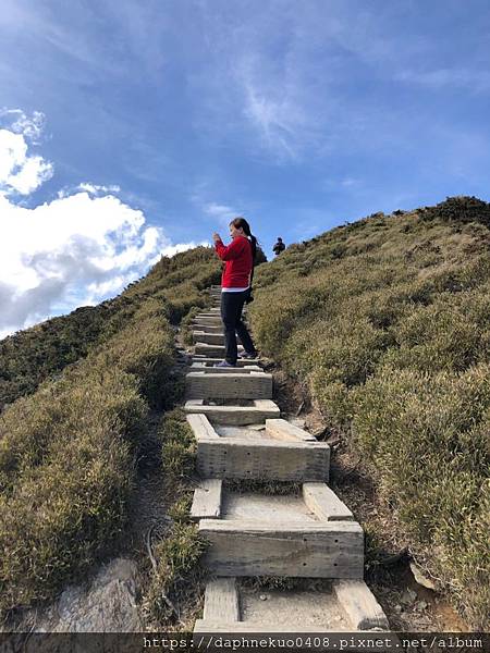 合歡、梨山、福壽山_190524_0894