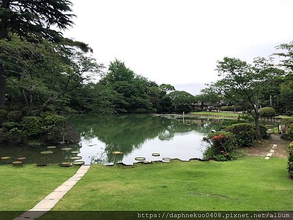 201969-10大分九重別府湯布院_190626_0550