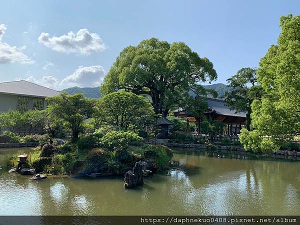 2019610福岡縣太宰府_190628_0085