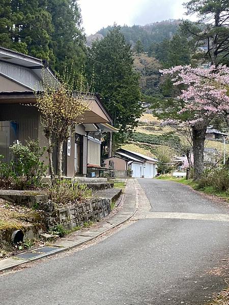 日本四國自駕遊行程安排(下)