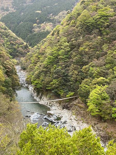 日本四國自駕遊行程安排(下)