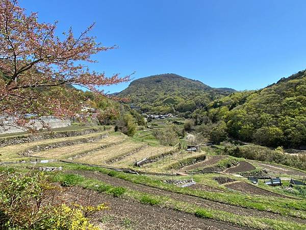 日本四國自駕遊行程安排(下)