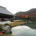 天龍寺庭園