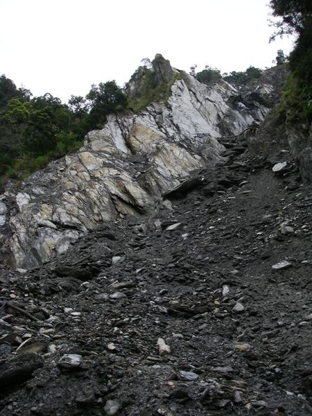 土石流是從這個山坡滑下的。