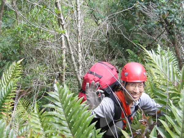 高繞中的Paul