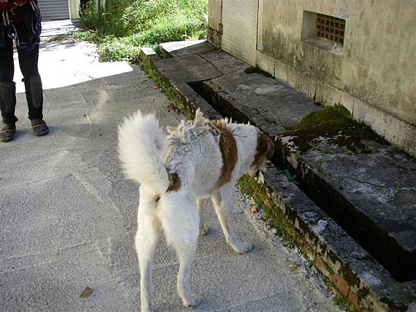 萬大北溪_光頭山_2008-10-23 09-28-45_0035.JPG