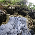 寶來溪溯登小關山2009-03-14 13-11-03_0038.JPG