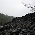 寶來溪溯登小關山2009-03-14 15-23-14_0069.JPG