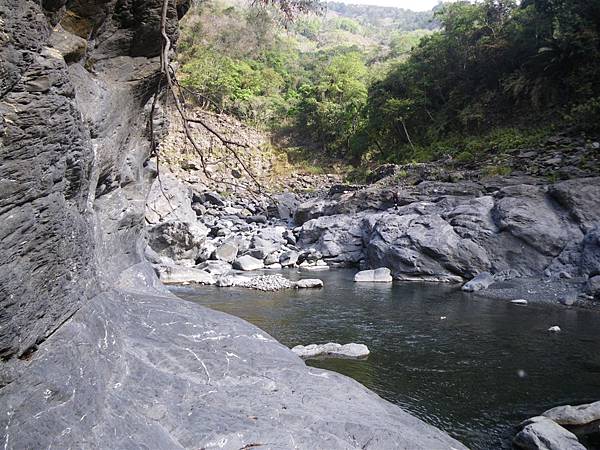 寶來溪溯登小關山2009-03-15 08-51-30_0129.JPG