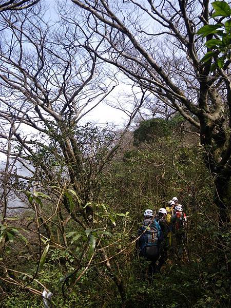 五重溪溯登逐鹿山_2009-03-01 11-13-44_0205.JPG