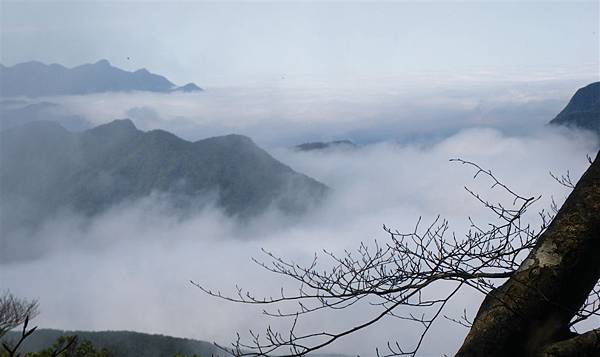 五重溪溯登逐鹿山_2009-03-01 11-17-43_0218裁.jpg