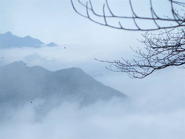 五重溪溯登逐鹿山_2009-03-01 11-18-39_0223.JPG