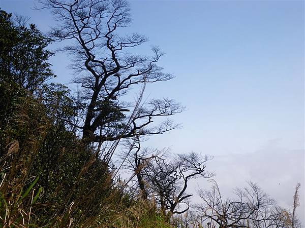 五重溪溯登逐鹿山_2009-03-01 11-41-53_0230.JPG