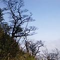 五重溪溯登逐鹿山_2009-03-01 11-41-53_0230.JPG