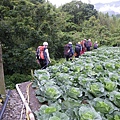 2009-05-28 08-02-03_實谷富溪溯登魔葉名病山_0007.JPG