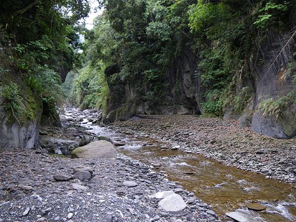 2009-05-28 08-38-23_實谷富溪溯登魔葉名病山_0018.JPG