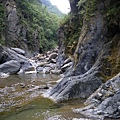 2009-05-28 08-42-36_實谷富溪溯登魔葉名病山_0021.JPG