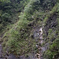 2009-05-28 13-04-47_實谷富溪溯登魔葉名病山_0087.JPG