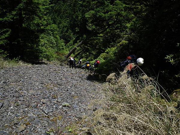 2009-05-30 11-19-21_實谷富溪溯登魔葉名病山_0397.JPG