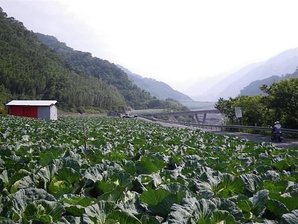 2009-05-31 15-09-26_實谷富溪溯登魔葉名病山_0519.JPG