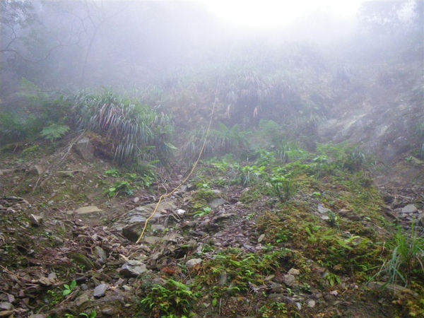 隘寮南溪溯登北大武山_0211_2010-2-16 上午 10-27-29.JPG