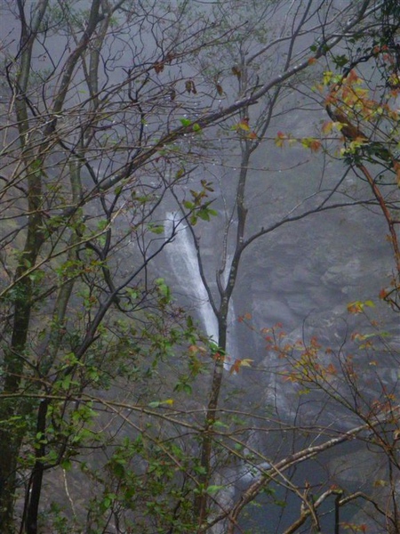 隘寮南溪溯登北大武山_0221_2010-2-16 下午 02-19-50.jpg