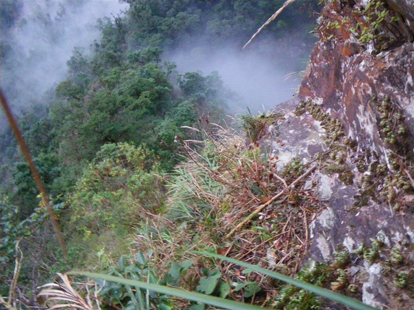 隘寮南溪溯登北大武山_0358_2010-2-17 下午 05-53-26.JPG