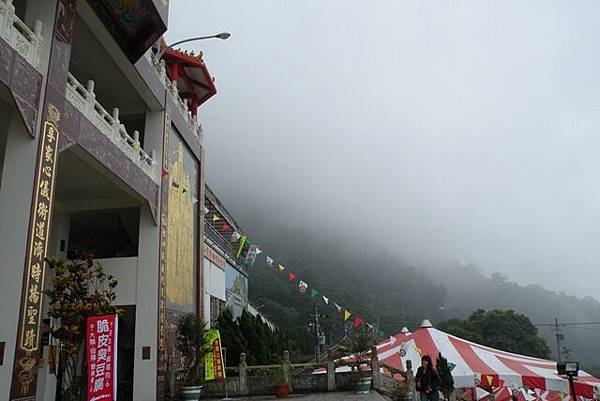 22012258:2008東山咖啡節－咖啡紅了..橘子綠了(仙湖-採椪柑)