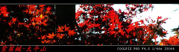 DSCN5770.jpg DSCN5770.jpg