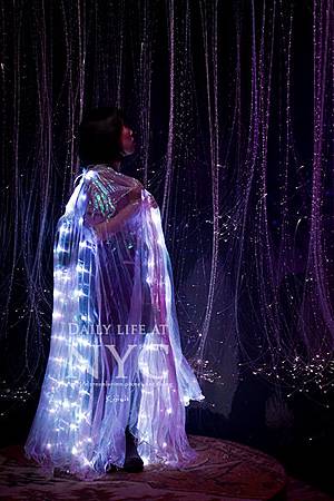 DSC07554_ps.jpg DSC07554_ps.jpg