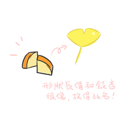 I-Chou-Kiri-02.jpg I-Chou-Kiri-02.jpg