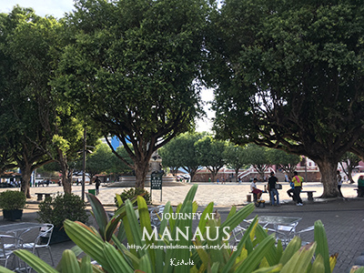 IMG_8926-blog.jpg IMG_8926-blog.jpg