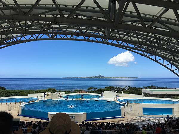 95美麗海水族館海豚表演.JPG