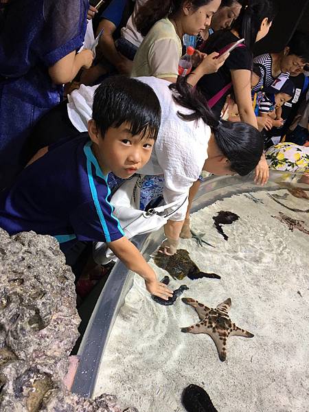 96美麗海水族館摸海星.JPG