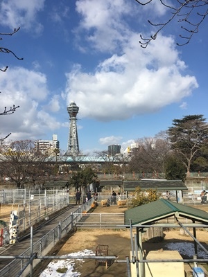 IMG_5048.jpg IMG_5048.jpg