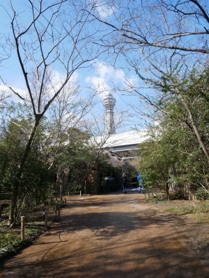 batch_P1010894.jpg batch_P1010894.jpg