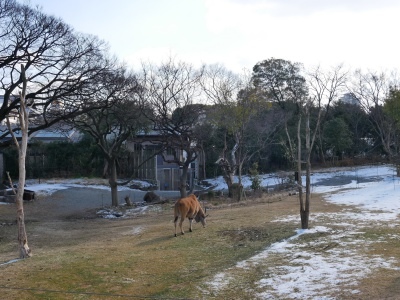 batch_P1010898.jpg batch_P1010898.jpg