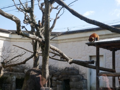 batch_P1010900.jpg batch_P1010900.jpg