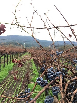 123IMG_3620.jpg 123IMG_3620.jpg