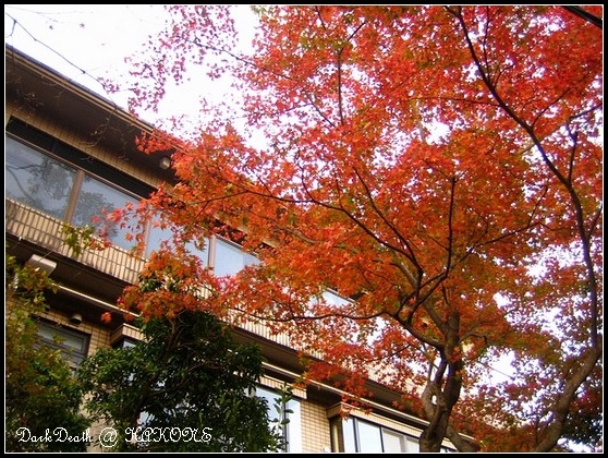 09 東京 第二章 閃亮的箱根 下 箱根強羅公園 空想發生學劇場 痞客邦