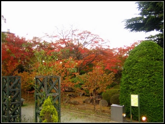 09 東京 第二章 閃亮的箱根 下 箱根強羅公園 空想發生學劇場 痞客邦