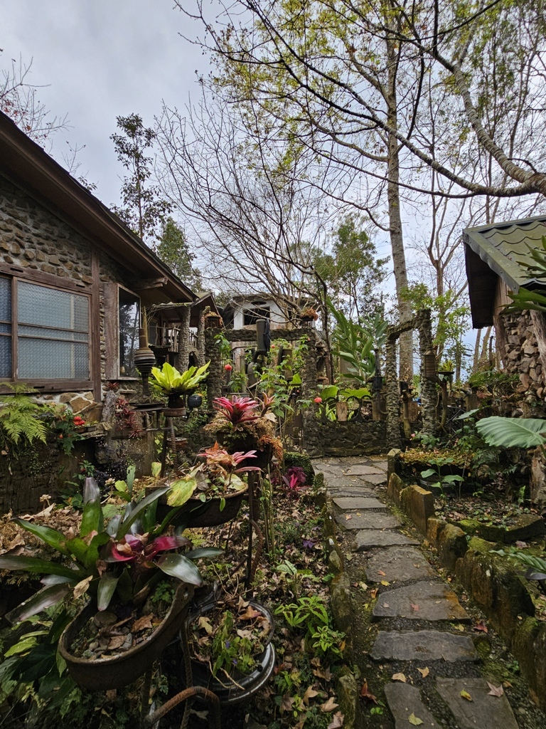 阿將的家23咖啡館|嘉義阿里山，天空之城的石頭屋咖啡秘境，福