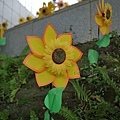 2010.05.29中央公園