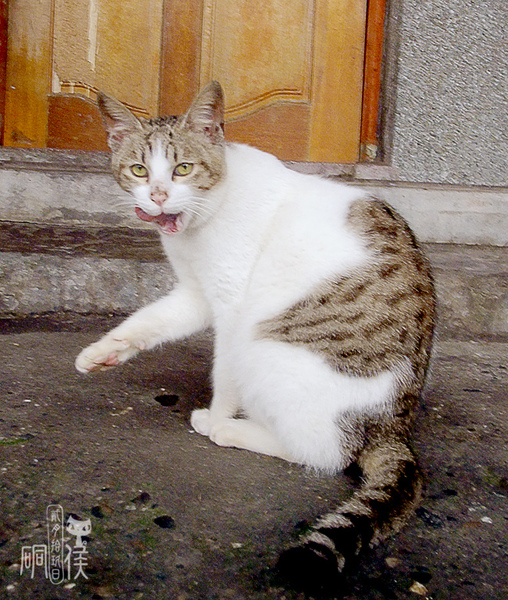 DSCF7171.jpg
