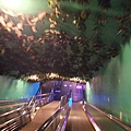 來去跨海大道