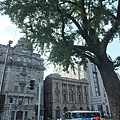 DSCF0543.JPG